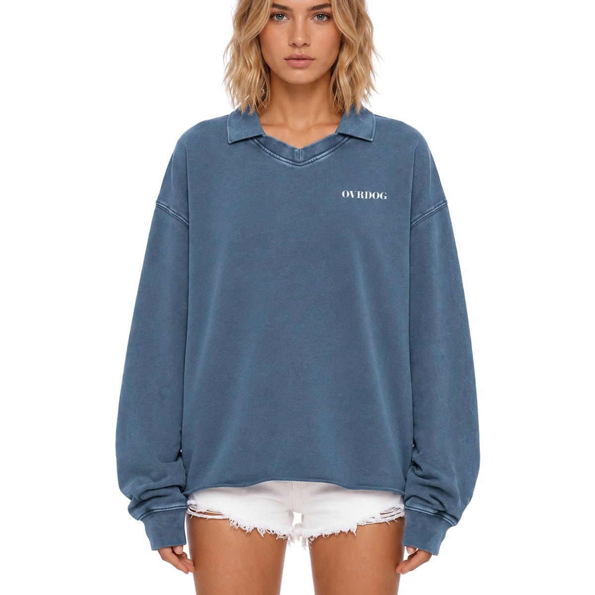 BLUE PRINTED OVRDOG COLLAR SWEATSHIRT